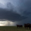 Severe Weather Predicted for Central Illinois