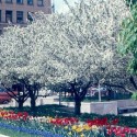 2015 Annual Arts In Education Spring Celebration April 20th-May22nd!