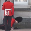 Buckingham Palace Guard Wipes Out In Front Of A Few Hundred People [VIDEO]