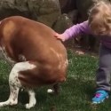 Little Girl Encourages Pooping Dog And It’s ‘TOO CUTE!’ [VIDEO]