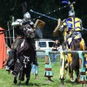 Olde English Faire Next Weekend!