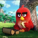 The Angry Birds Movie Official Trailer Has Been Released [VIDEO]