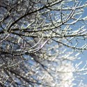 American Red Cross Offers Safety Tips for Winter Driving and Power Outages