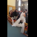 Kid Dives Into Wedding Dress [VIDEO]