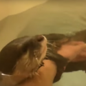 Worlds Best Bath With A Sea Otter [VIDEO]