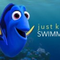 Here’s All The Reasons You Shouldn’t Get A Pacific Blue Tang Fish