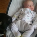 Having A Dog Does Not Prepare You For A Newborn