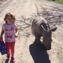 Young Girl Walks With Endangered White Rhino [VIDEO]