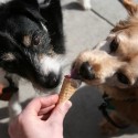 So Peoria: Saturday Is Hot Enough For Ya Day, National Hot Dog Day, Vanilla Ice Cream Day