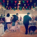 Check Out The Heart of Illinois Fair List of Events 7-12 [DETAILS]