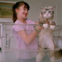 Nine Lives Hits Theaters on Friday