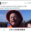 Is This Tom Hanks Or Bill Murray?