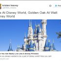 Want To Live At Disney World? Now You Can!